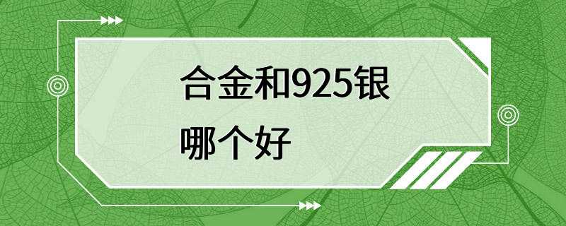 合金和925银哪个好