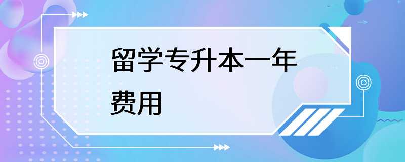 留学专升本一年费用