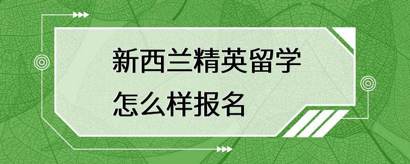 新西兰精英留学怎么样报名