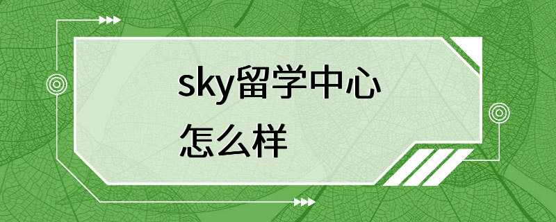 sky留学中心怎么样