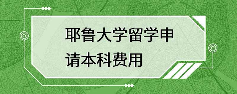 耶鲁大学留学申请本科费用