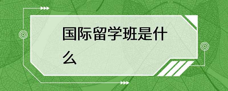 国际留学班是什么