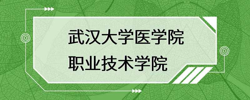 武汉大学医学院职业技术学院