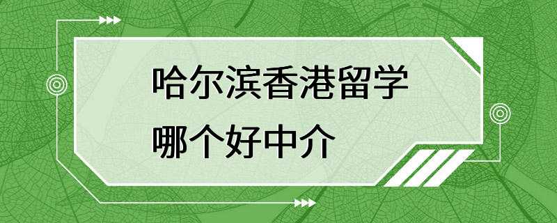 哈尔滨香港留学哪个好中介