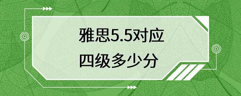 雅思5.5对应四级多少分