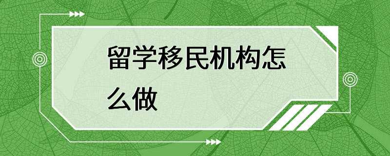 留学移民机构怎么做