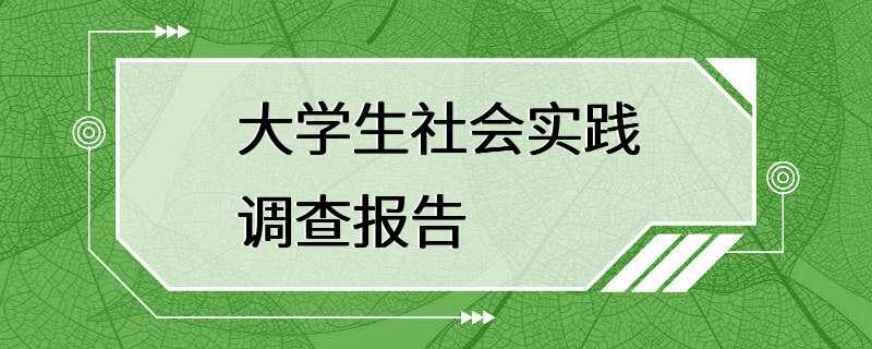 大学生社会实践调查报告