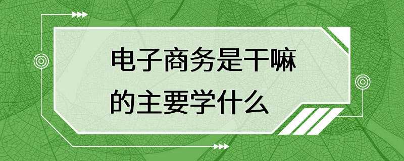 电子商务是干嘛的主要学什么