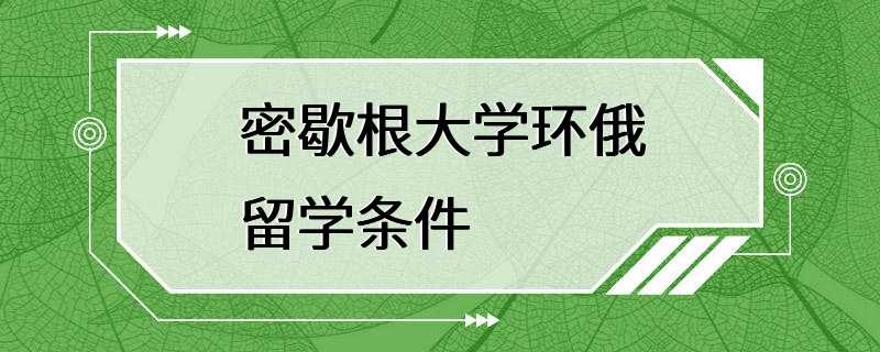 密歇根大学环俄留学条件