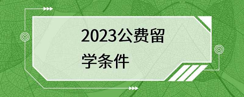 2023公费留学条件