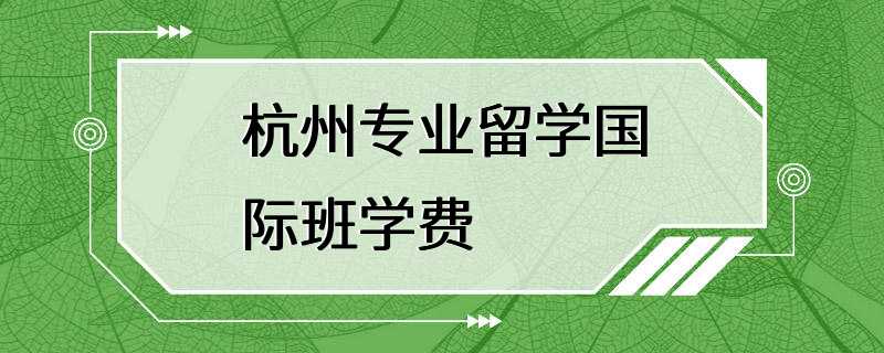 杭州专业留学国际班学费