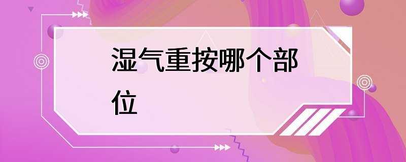 湿气重按哪个部位