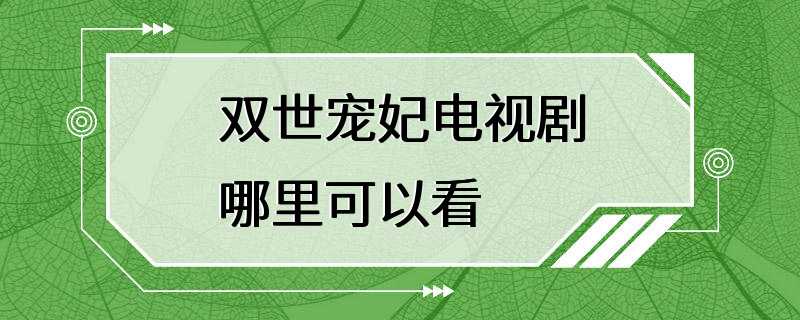 双世宠妃电视剧哪里可以看