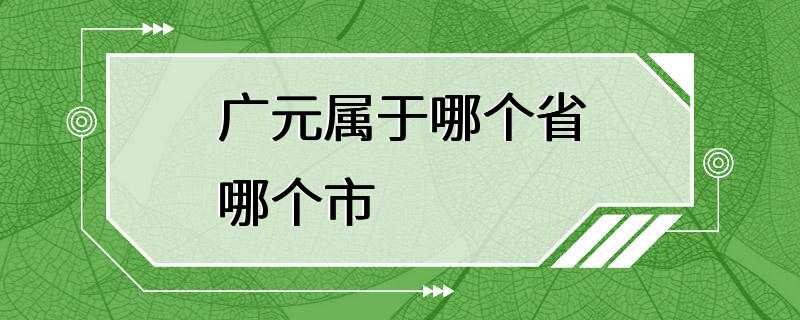 广元属于哪个省哪个市