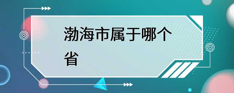 渤海市属于哪个省