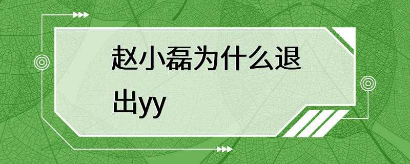 赵小磊为什么退出yy