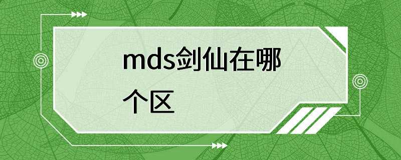 mds剑仙在哪个区