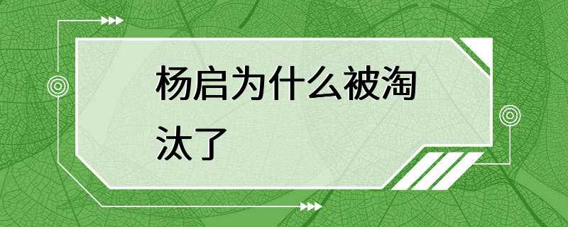 杨启为什么被淘汰了