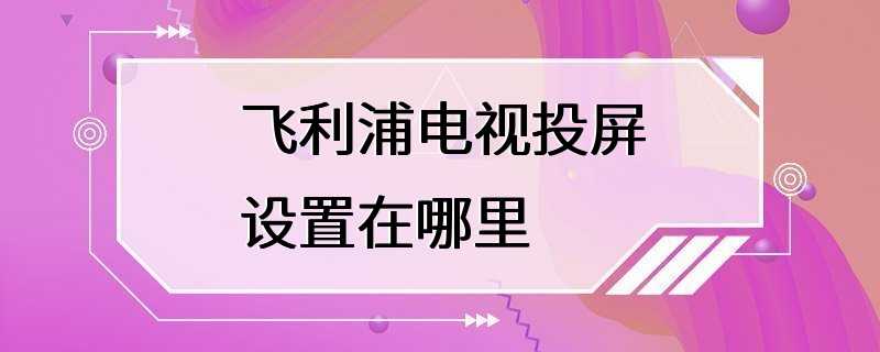 飞利浦电视投屏设置在哪里