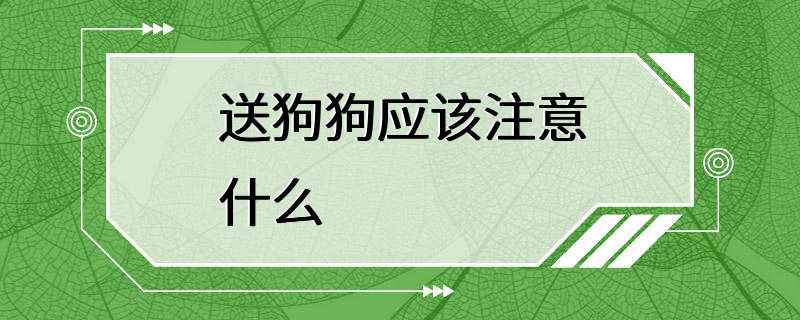 送狗狗应该注意什么