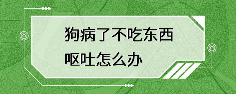 狗病了不吃东西呕吐怎么办