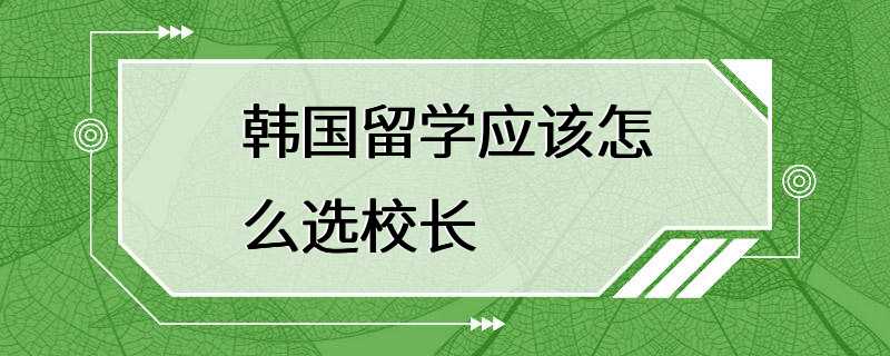 韩国留学应该怎么选校长