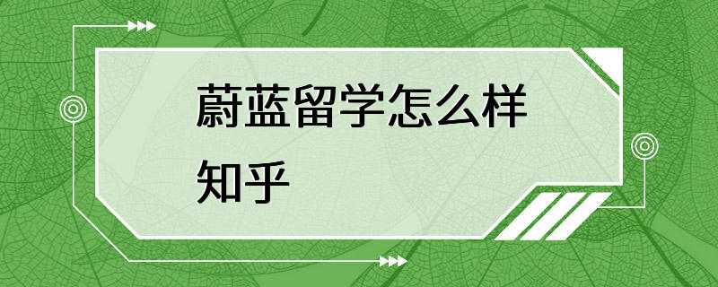 蔚蓝留学怎么样知乎