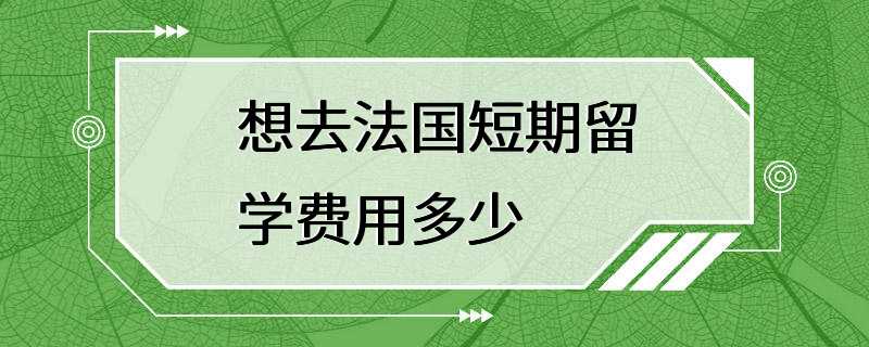 想去法国短期留学费用多少