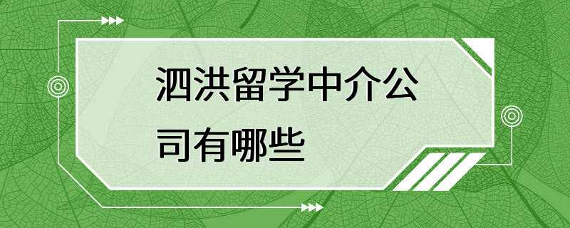 泗洪留学中介公司有哪些