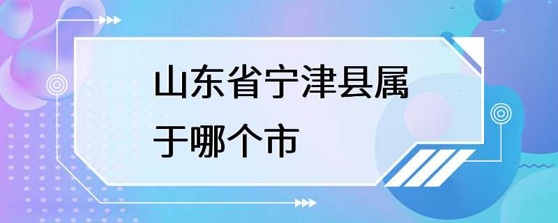 山东省宁津县属于哪个市