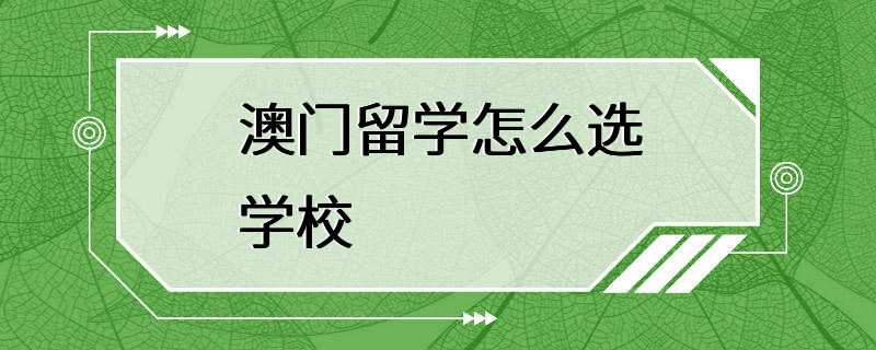 澳门留学怎么选学校