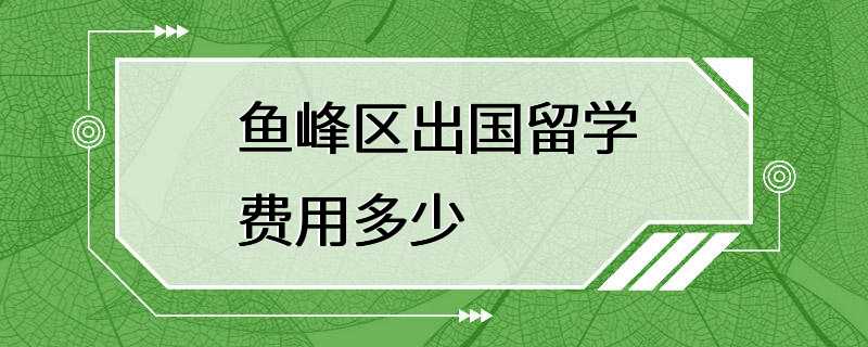 鱼峰区出国留学费用多少