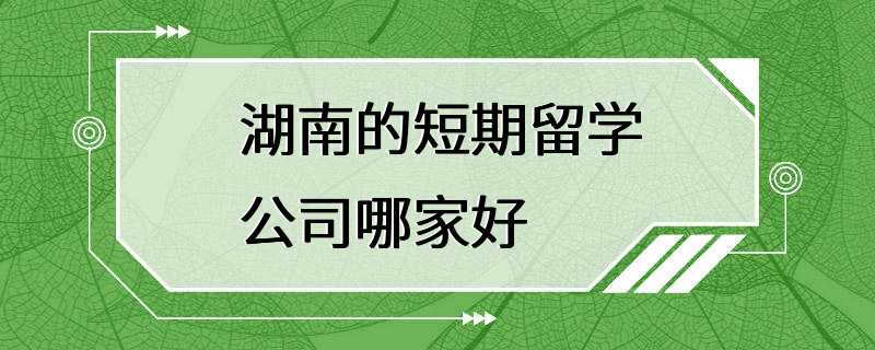 湖南的短期留学公司哪家好