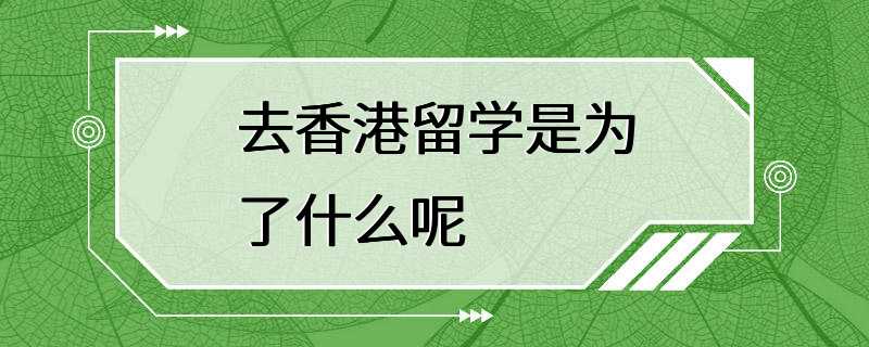 去香港留学是为了什么呢