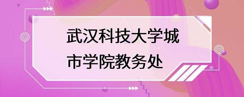 武汉科技大学城市学院教务处