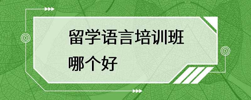 留学语言培训班哪个好