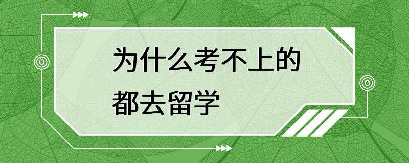 为什么考不上的都去留学