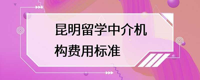 昆明留学中介机构费用标准