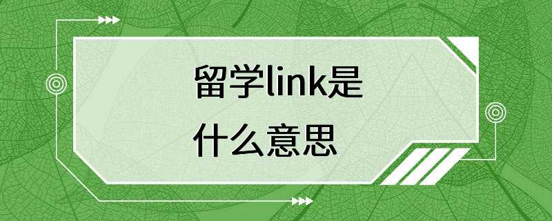 留学link是什么意思