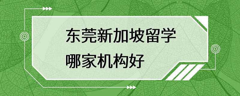 东莞新加坡留学哪家机构好