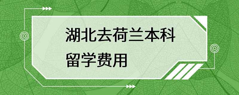 湖北去荷兰本科留学费用