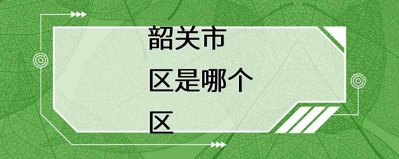 韶关市区是哪个区