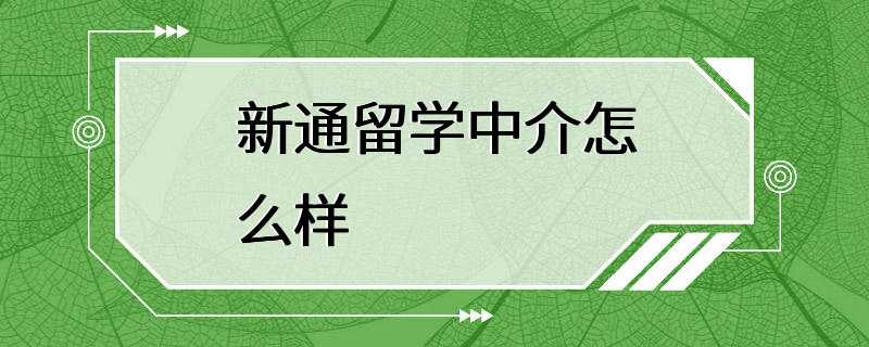 新通留学中介怎么样