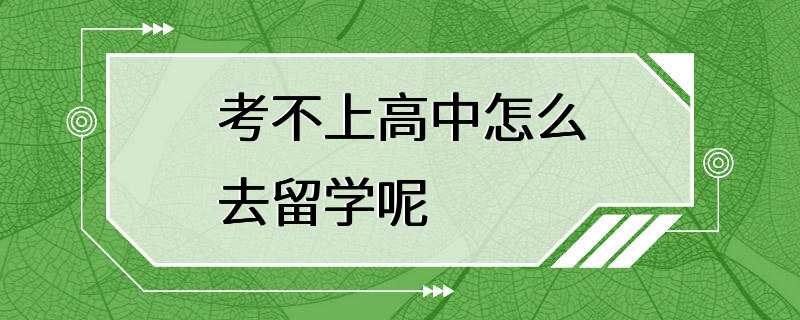 考不上高中怎么去留学呢