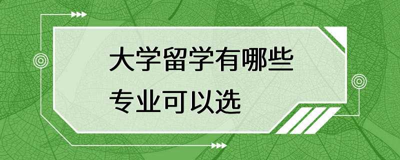 大学留学有哪些专业可以选