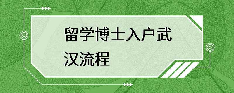 留学博士入户武汉流程