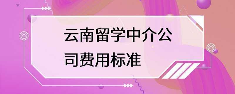 云南留学中介公司费用标准