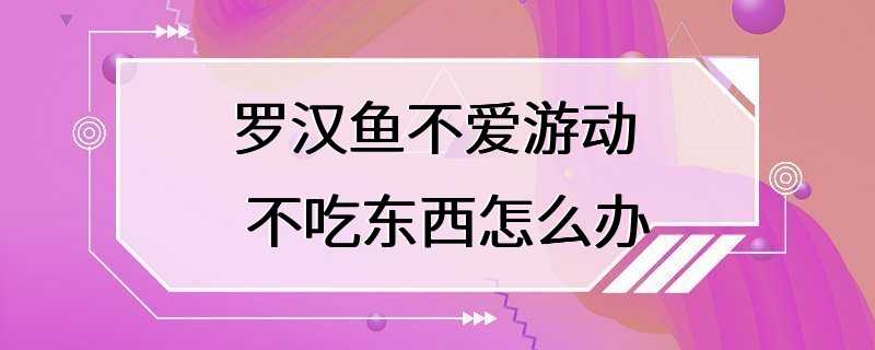 罗汉鱼不爱游动 不吃东西怎么办