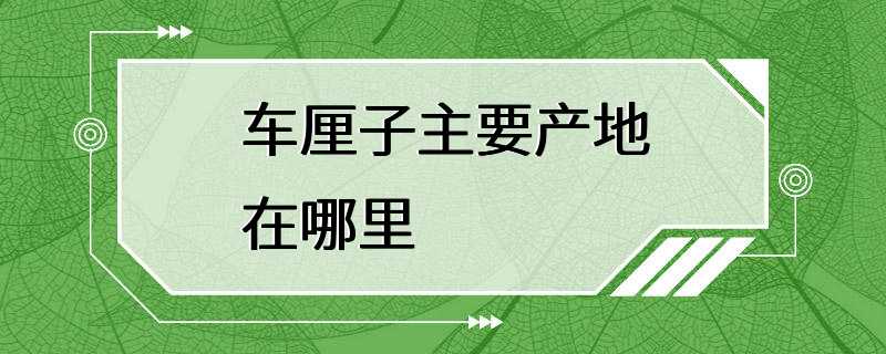 车厘子主要产地在哪里