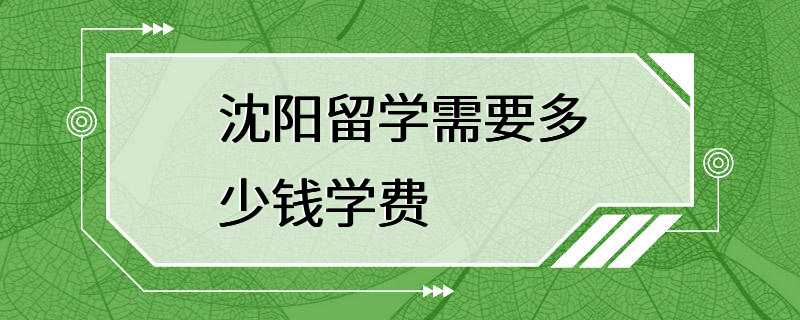 沈阳留学需要多少钱学费